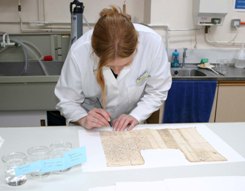 Image of a conservator spot testing the inks on a document